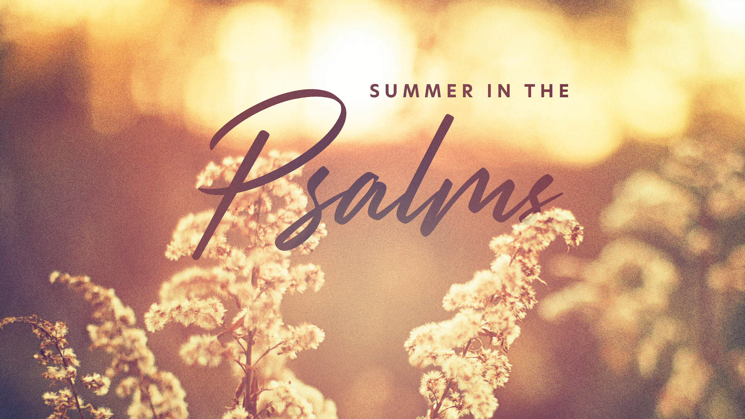 Summer in the Psalms 2
