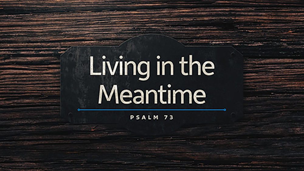 Living in the Meantime Image