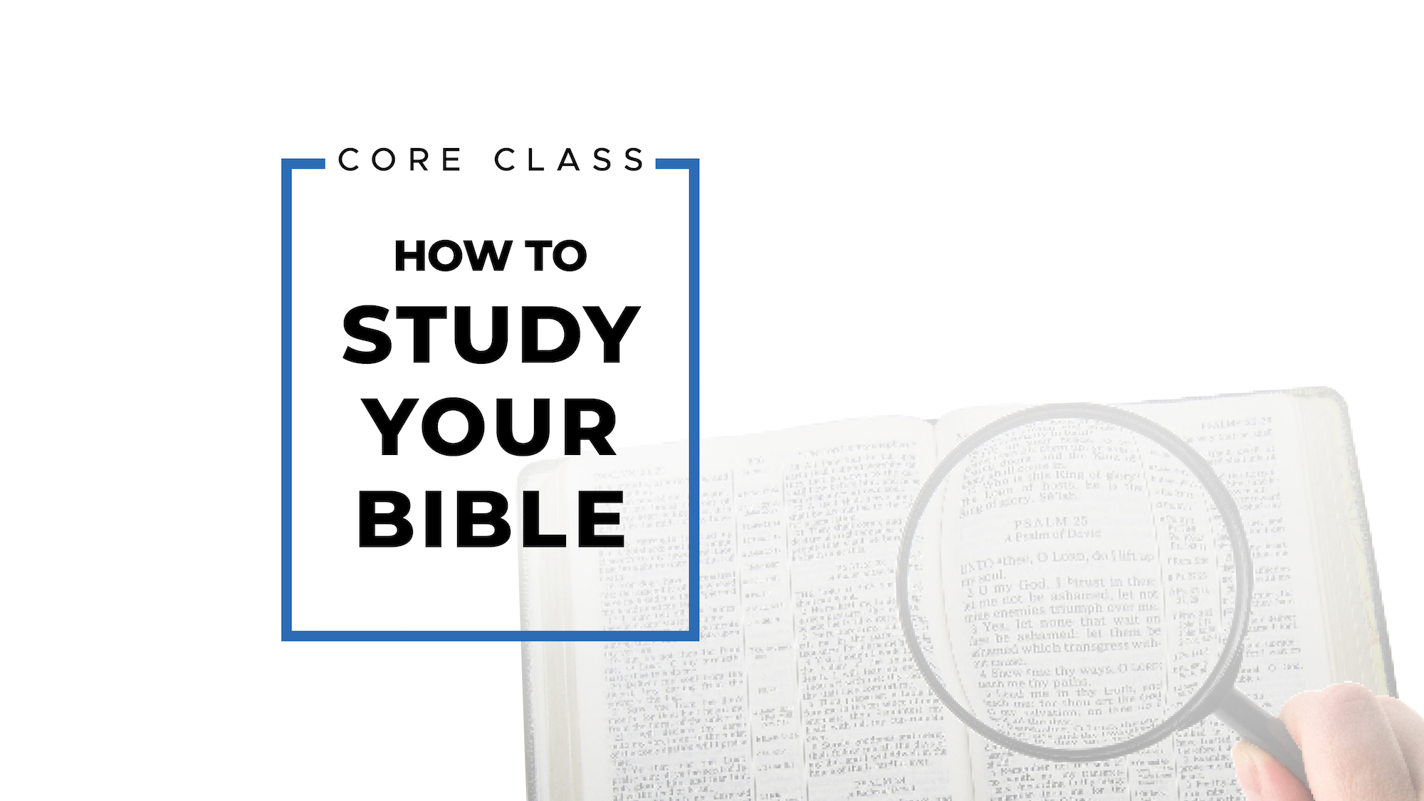 How to Study Your Bible Image